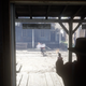 Illustration for article titled The Fun And Frustration Of That Doctor Robbery Early In iRed Dead Redemption 2/i